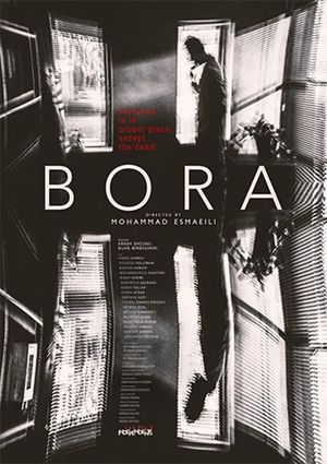 The Bora's poster