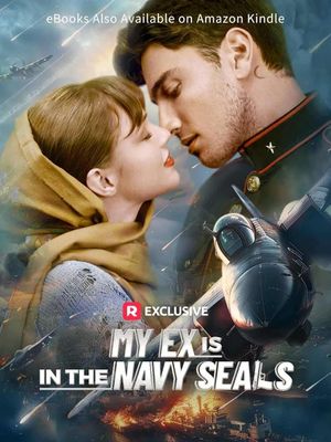 My Ex is in the Navy SEALs's poster