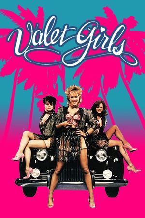 Valet Girls's poster