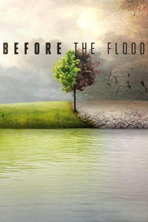 Before the Flood's poster