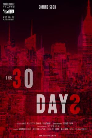 The 30 Days's poster
