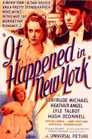It Happened in New York's poster