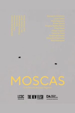 Moscas's poster