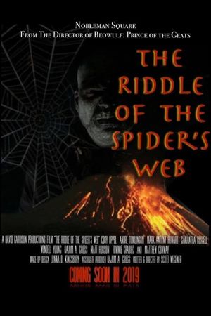 The Riddle of the Spider's Web's poster