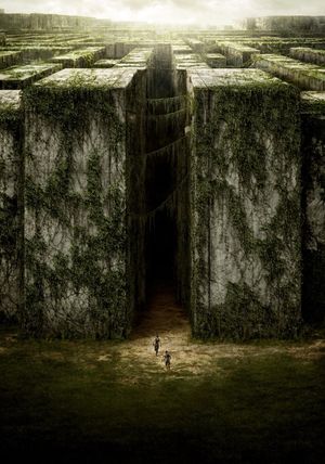 The Maze Runner's poster