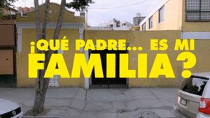 ¡Que Padre... Es Mi Familia?'s poster