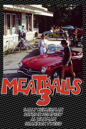 Meatballs III: Summer Job's poster