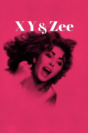 X, Y & Zee's poster