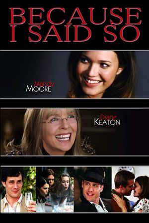 Because I Said So's poster