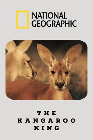 Big Red: The Kangaroo King's poster