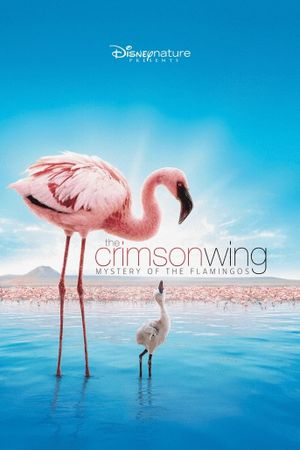 The Crimson Wing: Mystery of the Flamingos's poster