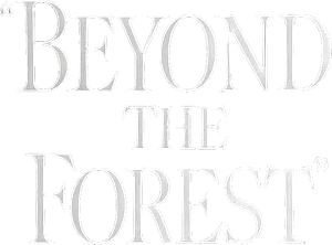 Beyond the Forest's poster