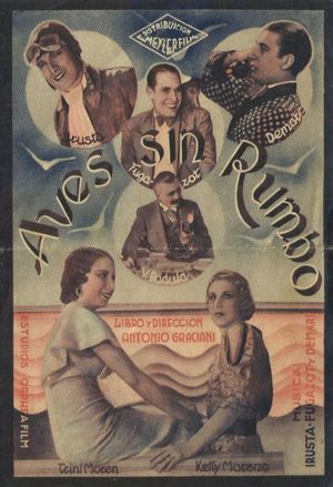 Aves sin rumbo's poster