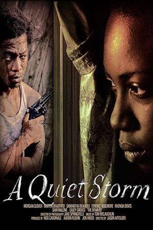 A Quiet Storm's poster image