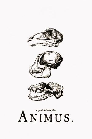 Animus's poster