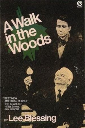 A Walk in the Woods's poster