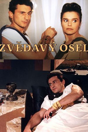 Zvědavý osel's poster