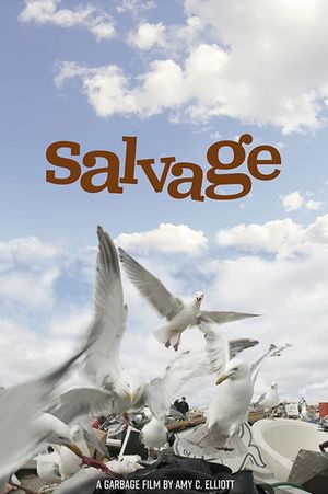 Salvage's poster