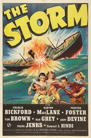 The Storm's poster