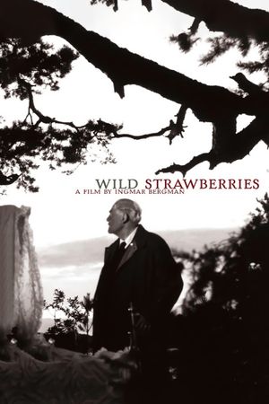 Wild Strawberries's poster