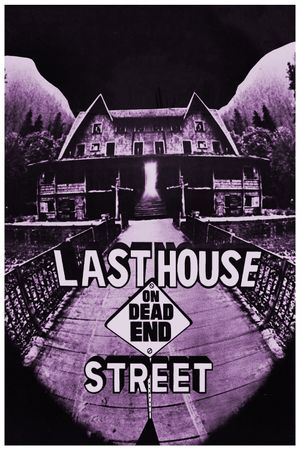 The Last House on Dead End Street's poster