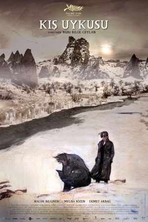 Winter Sleep's poster