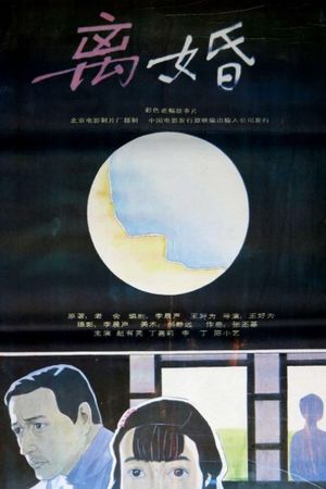 After Divorce's poster