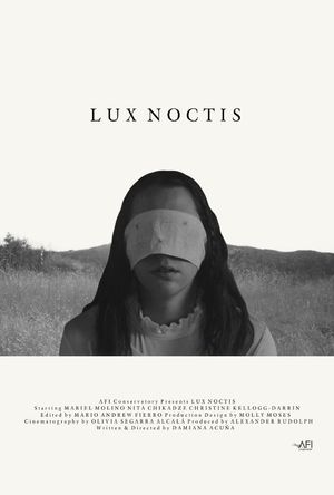 Lux Noctis's poster