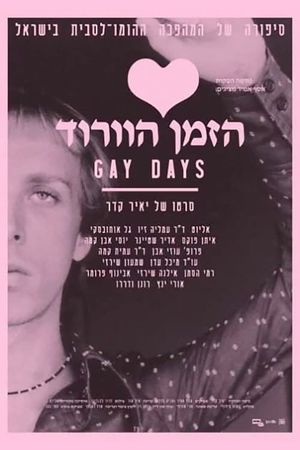 Gay Days's poster