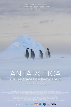 Antarctica, in the footsteps of the Emperor's poster