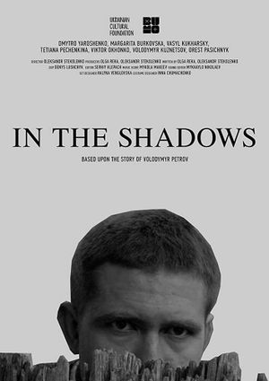 In the Shadows's poster