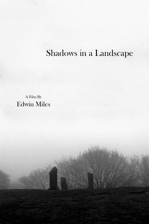 Shadows in a Landscape's poster