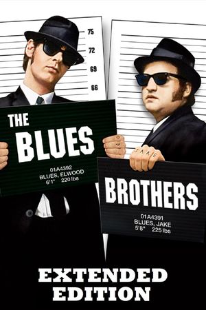 The Blues Brothers's poster