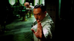 The Grandmaster's poster