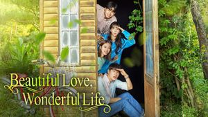 A Beautiful Life's poster