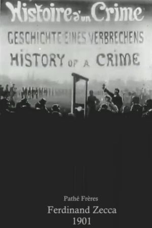 History of a Crime's poster