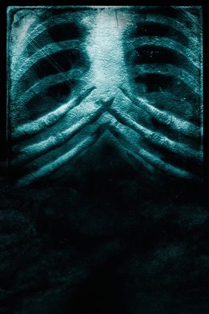 Alone in the Dark 2's poster