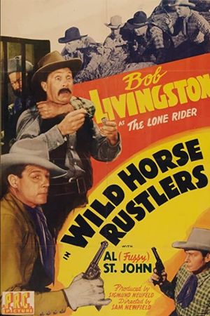 Wild Horse Rustlers's poster