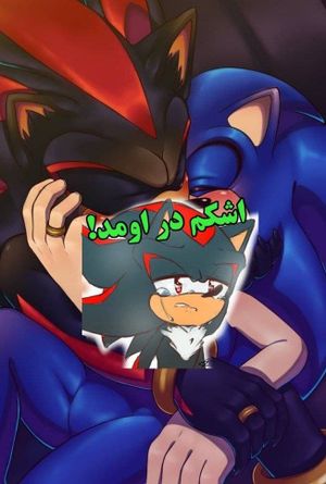 Sonic & Shadow Lovely Lavat's poster