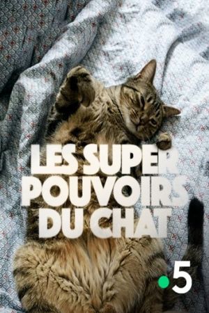 Les super-pouvoirs du chat's poster