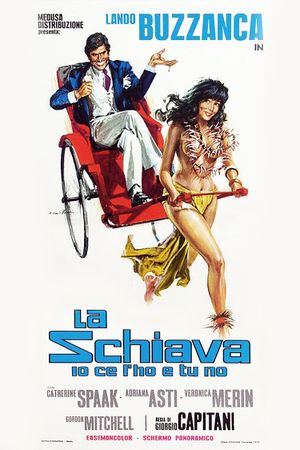 The Slave's poster