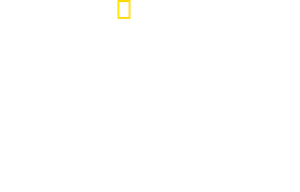 Mafia Confidential's poster