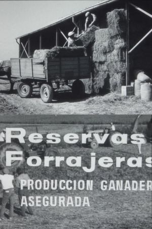 Reservas forrajeras, producción ganadera asegurada's poster