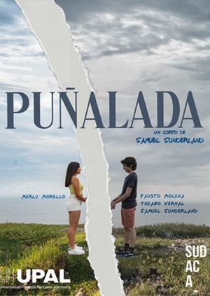 Puñalada's poster