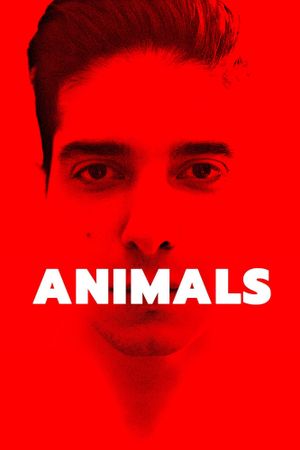 Animals's poster