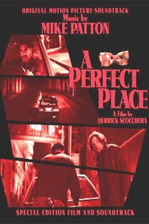 A Perfect Place's poster image