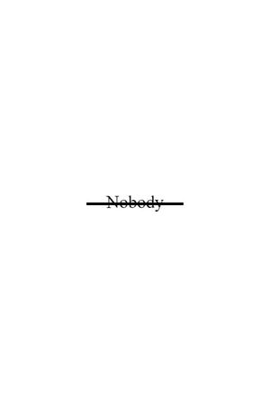 Nobody's poster