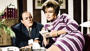 Mr. Spinster's poster
