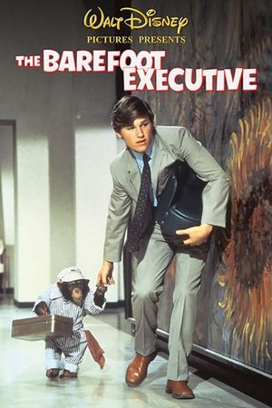 The Barefoot Executive's poster