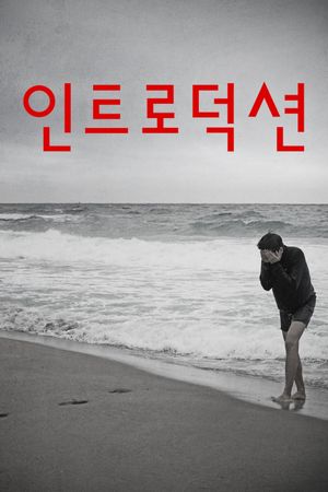 Introduction's poster